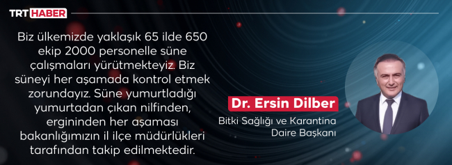 Çiftçinin bitmeyen mücadelesi: Süne